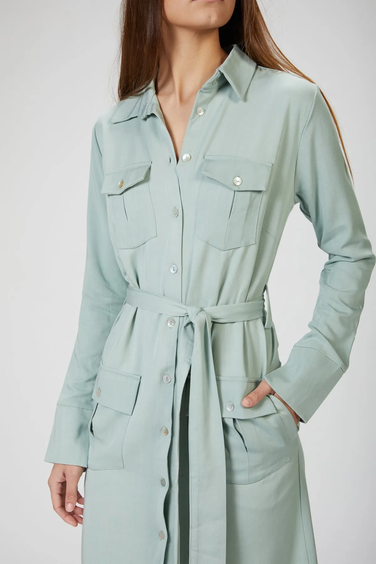 BREE TRENCH DRESS