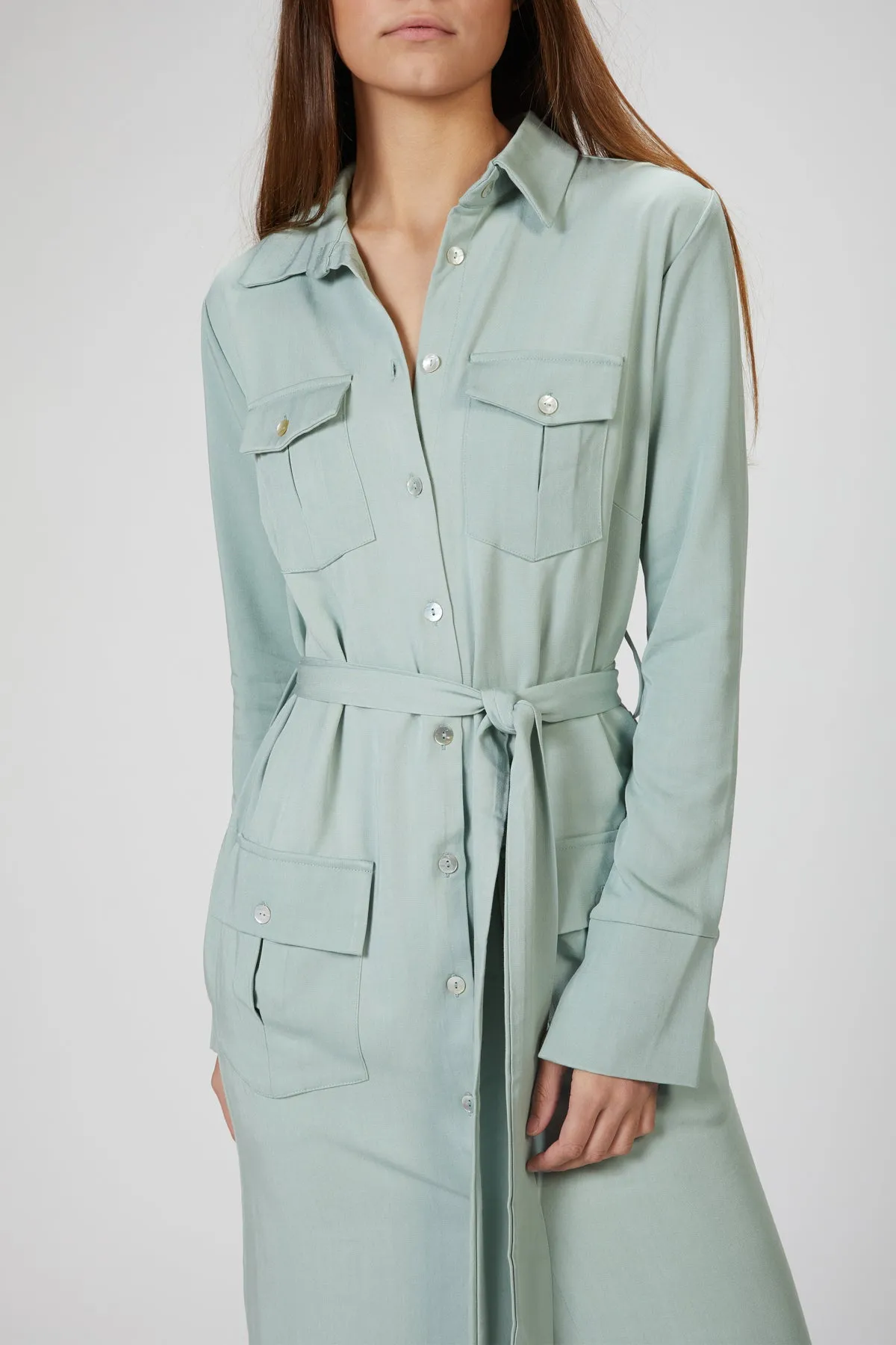 BREE TRENCH DRESS
