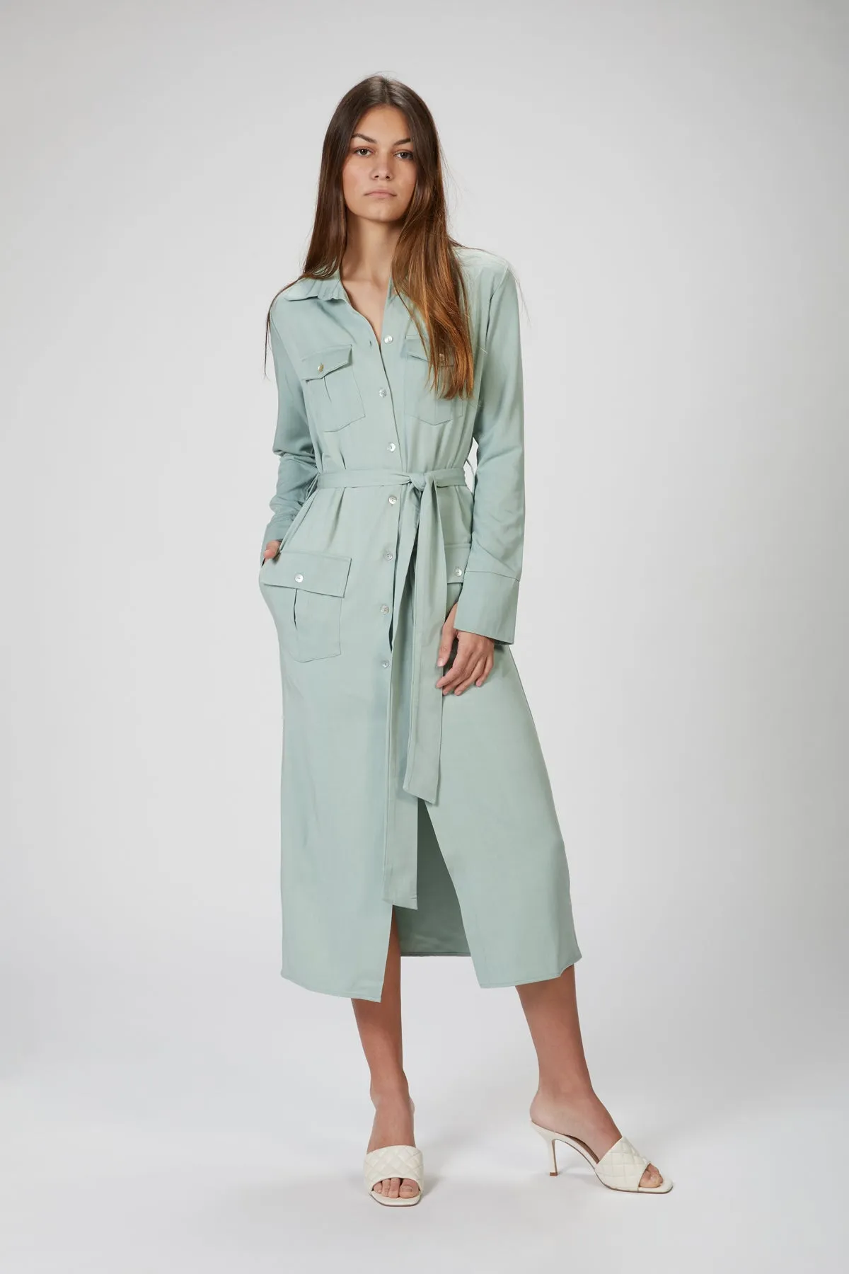 BREE TRENCH DRESS