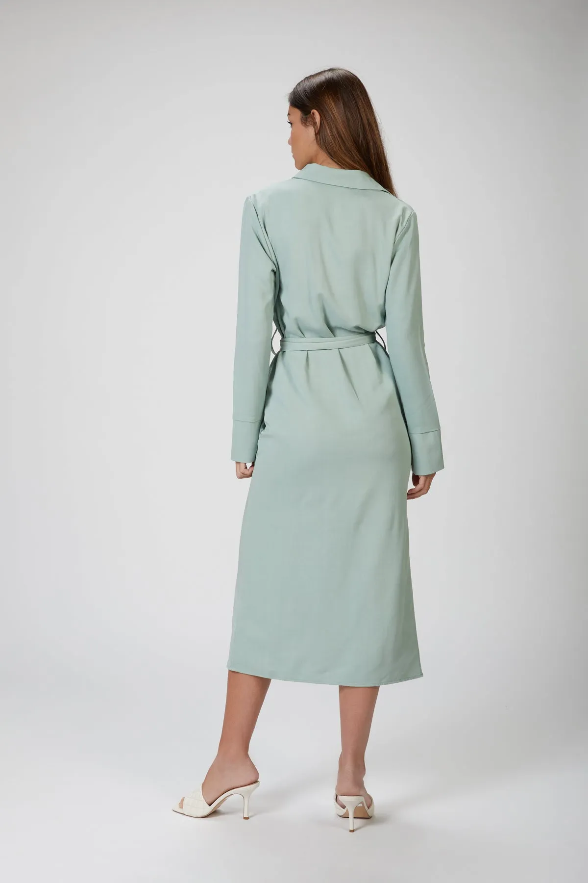 BREE TRENCH DRESS