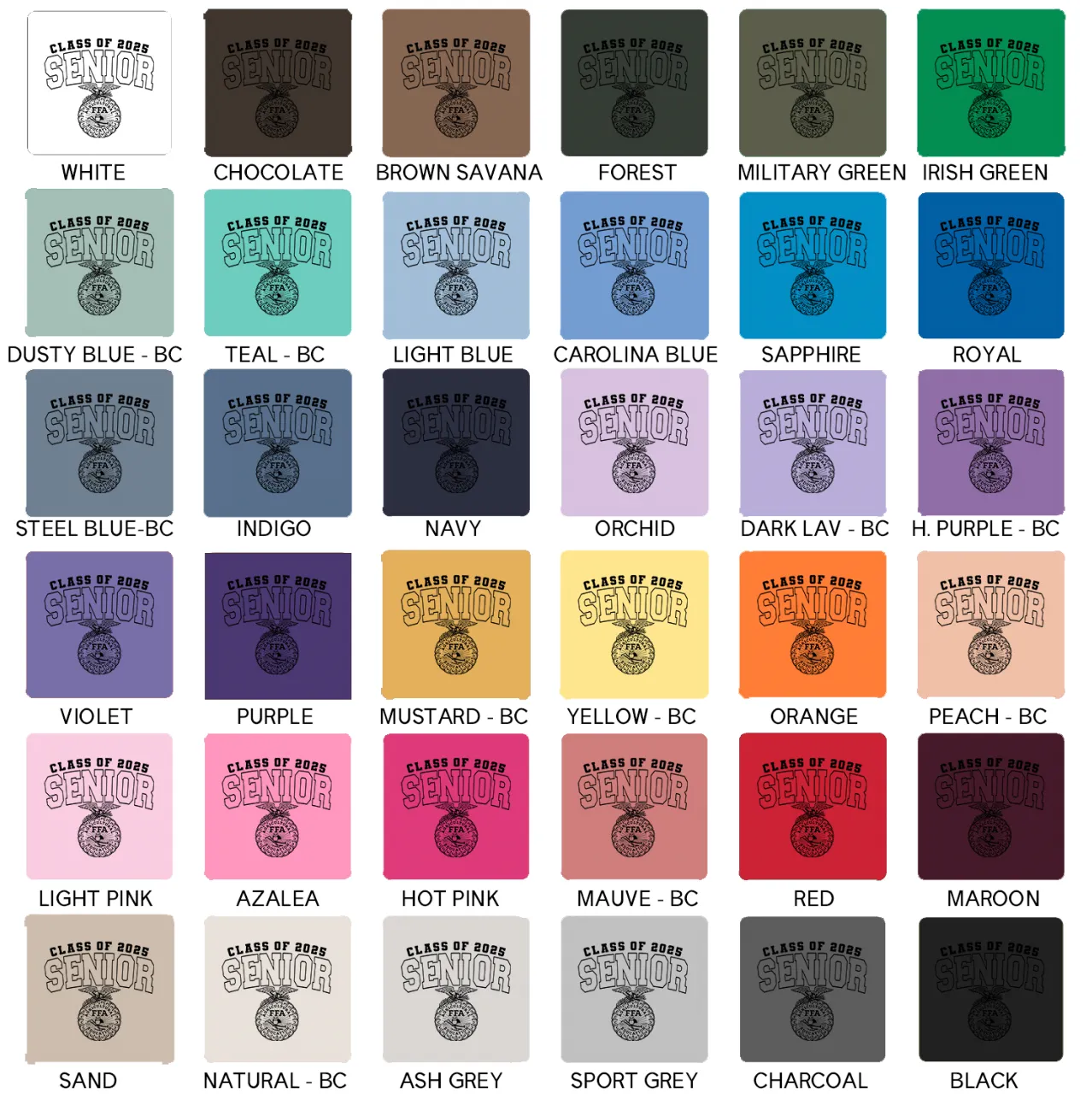 Class of 2025 Senior Emblem – Hoodie