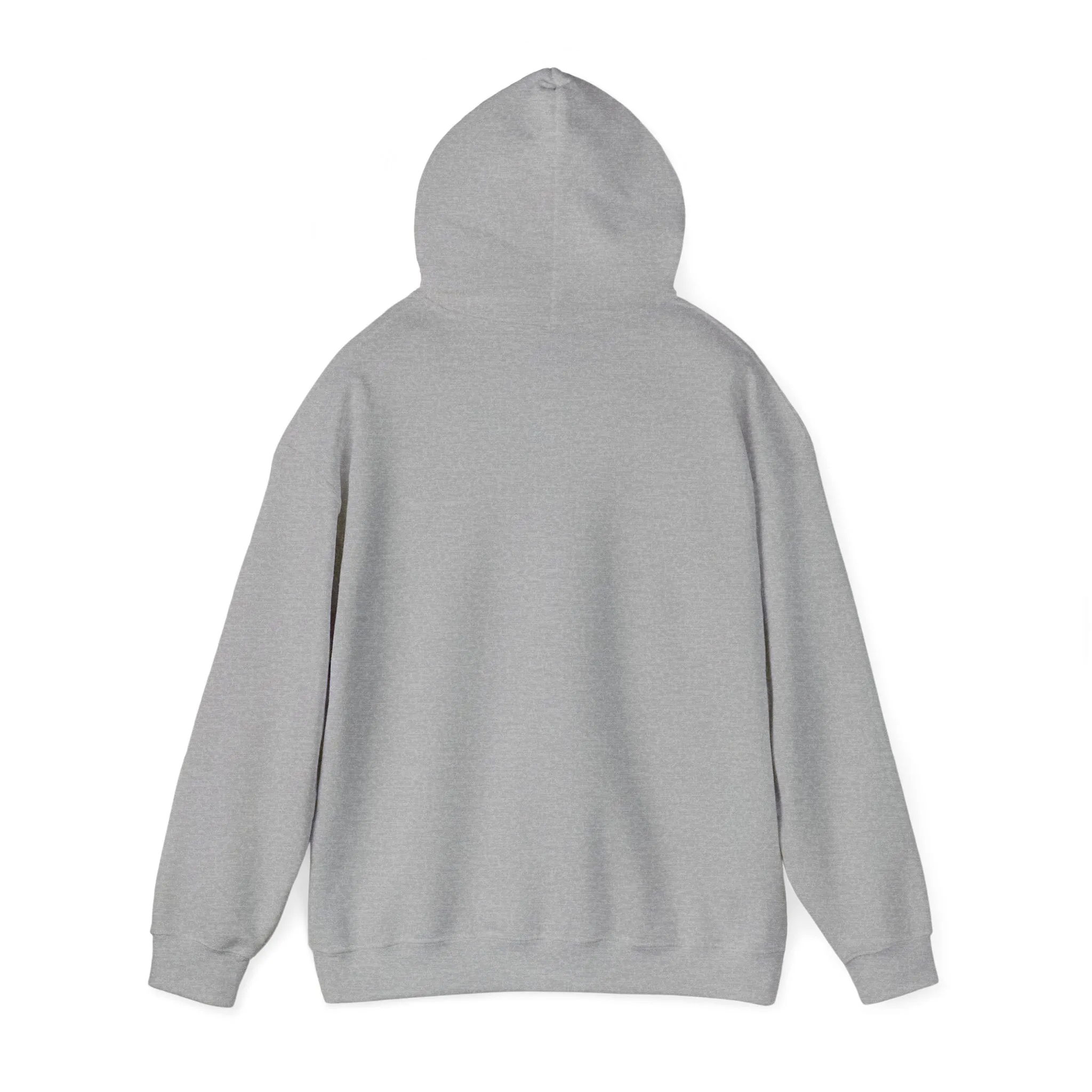 US Unisex Heavy Blend™ Hooded Sweatshirt